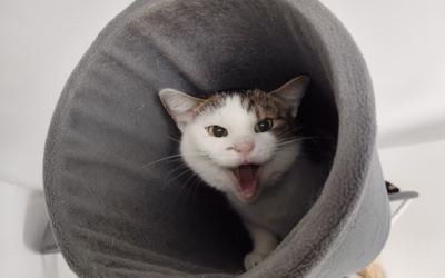 Směje se na mě nebo mi nadává?