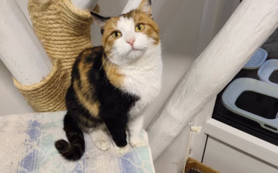 Zdraví vás Esmeraldička