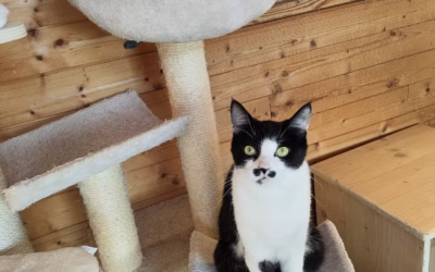 Mazlivá Berenička čeká