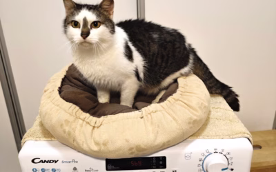 Radovánek zdraví z nejlepšího pelíšku v útulku