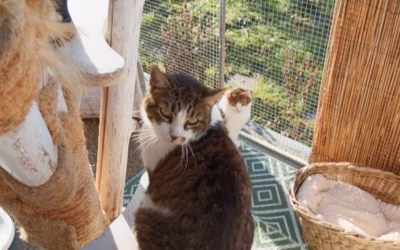 V depozitu je jako na jaře