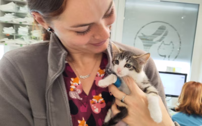 Sisinka zdraví z veteriny