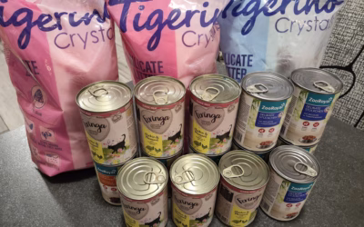 Kočičky moc děkují