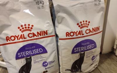 Kočičky moc děkují za granulky