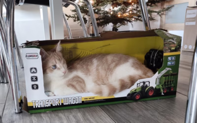 Prázdné krabice, to je něco!