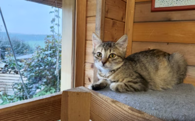 Mínuška vyhlíží Ježíška