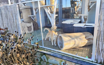 Filípek nedočkavě vyhlíží sluníčko