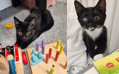 Nerozlučné kamarádky