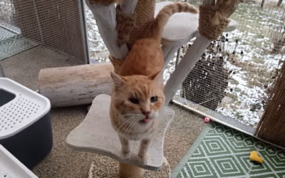 Filípkovi už je zase dobře