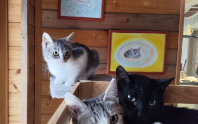 Krásný den přeje Rose, Dášenka a Prokůpek