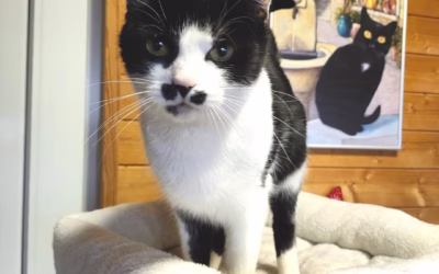 Krásné ráno přeje Berenička