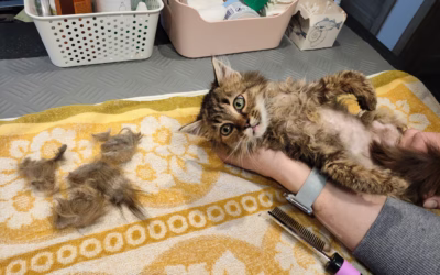 Maličká Amélie při ošetřování