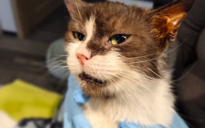 Evelínka v léčbě