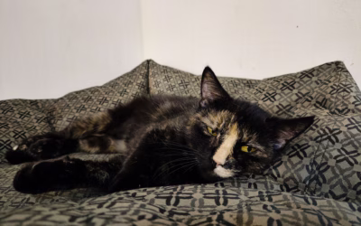 Zdraví vás Stelinka