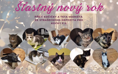 Šťastný nový rok