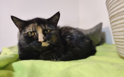 Malá, ale významná událost v depozitu