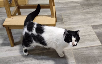 Marion doléčuje čumáček