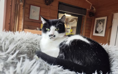 Krásná a mazlivá Berenička