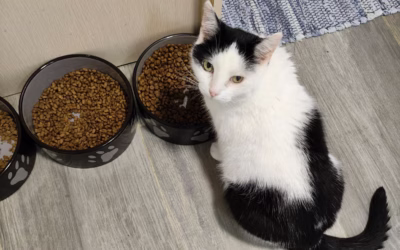 Zdraví vás Sevilla