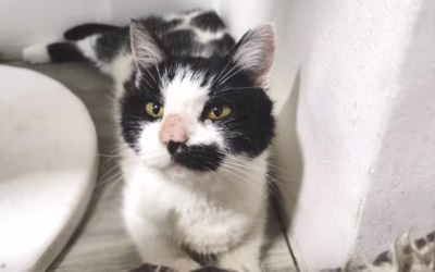 Marion a její čumáček