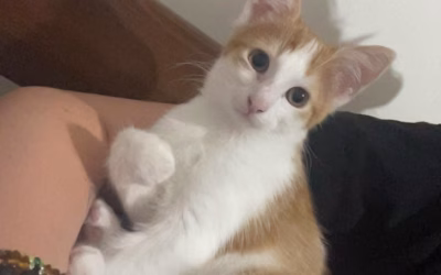 Luky