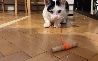 Petřík posílá pozdravy z nového domova